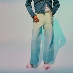 Gradient Wide-Leg Pants